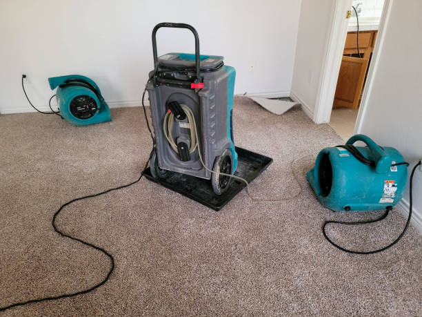 Best 24-hour water damage restoration  in Wildomar, CA