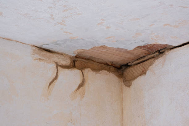 Best Fire Damage Restoration  in Wildomar, CA