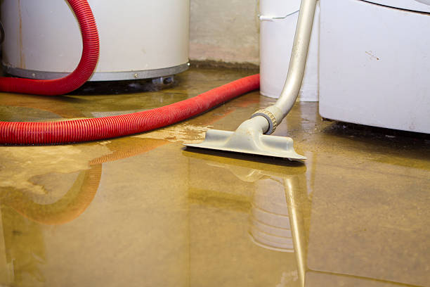Best 24/7 water damage repair  in Wildomar, CA