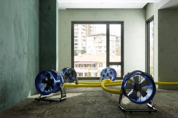 Best Residential water damage restoration  in Wildomar, CA